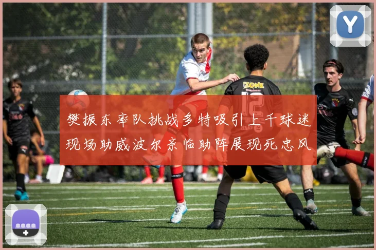 樊振东率队挑战多特吸引上千球迷现场助威波尔亲临助阵展现死忠风采