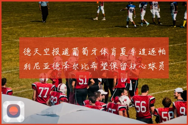 德天空报道葡萄牙体育夏季追逐帕利尼亚德泽尔比希望保留核心球员