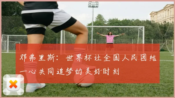 邓弗里斯：世界杯让全国人民团结一心共同追梦的美好时刻